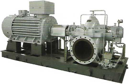 两端支撑离心泵