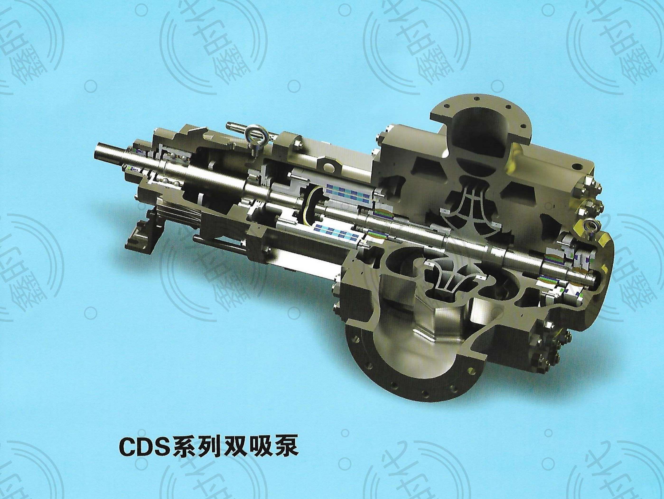 CDS系列双吸泵